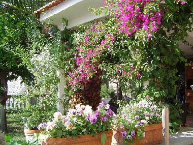 Appartement de vacances /en/au meta  (Napoli)ou appartement ou maison de vacances