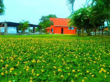 Chalet �/en/au El  Estor (Izabal)ou appartement ou maison de vacances