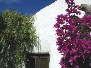Maison de vacances �/en/au Los Valles-Teguise (Lanzarote)ou appartement ou maison de vacances