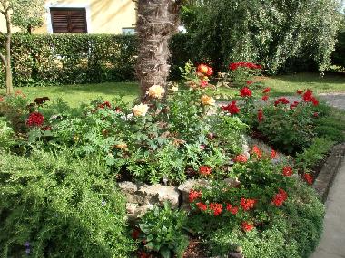 Appartement de vacances /en/au Umag (Istarska)ou appartement ou maison de vacances