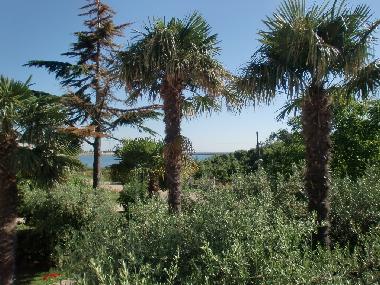 Appartement de vacances /en/au Umag (Istarska)ou appartement ou maison de vacances