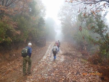 Villa /en/au Agios Georgios Nileias (Magnisia)ou appartement ou maison de vacances