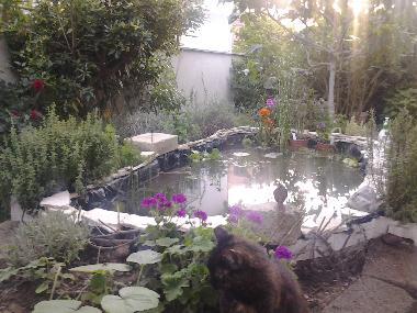 Bateau /en/au rom (Roma)ou appartement ou maison de vacances