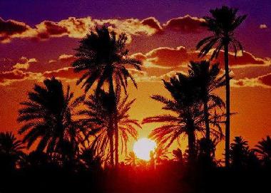 Maison de vacances �/en/au sidi yati (Madanin)ou appartement ou maison de vacances