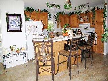 La grande cuisine les singes.