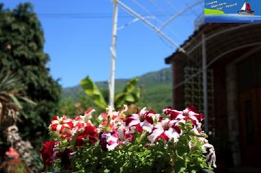 Appartement de vacances �/en/au Ohrid (Ohrid)ou appartement ou maison de vacances