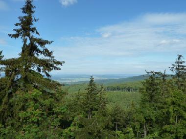 Appartement de vacances /en/au Trusetal (Thringer Wald)ou appartement ou maison de vacances