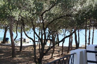 Appartement de vacances �/en/au Vourvourou (Chalkidiki)ou appartement ou maison de vacances