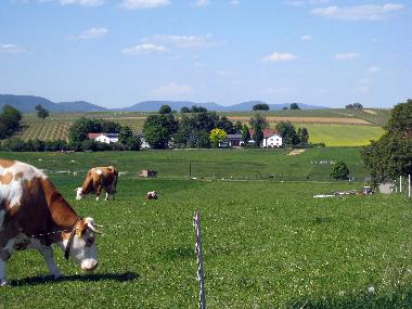 Appartement de vacances /en/au Kapellen-Drusweiler (Pfalz)ou appartement ou maison de vacances