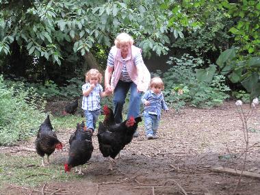 Appartement de vacances /en/au Kapellen-Drusweiler (Pfalz)ou appartement ou maison de vacances