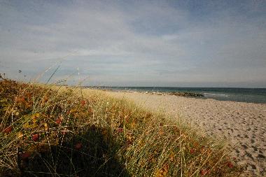 Maison de vacances /en/au Ostseebad Schnhagen (Ostsee-Festland)ou appartement ou maison de vacances