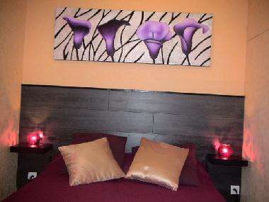 Maison de vacances /en/au Saint Antonin/LORGUES (Var)ou appartement ou maison de vacances