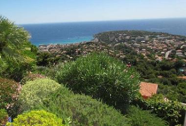 Villa /en/au Roquebrune-Cap-Martin (Alpes-Maritimes)ou appartement ou maison de vacances