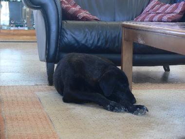 Chambre avec petit djeuner /en/au Vimieiro (Alentejo Central)ou appartement ou maison de vacances