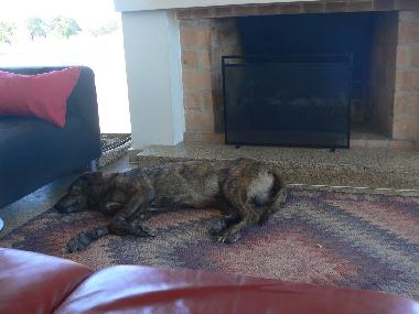 Chambre avec petit djeuner /en/au Vimieiro (Alentejo Central)ou appartement ou maison de vacances