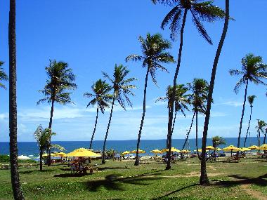 Appartement de vacances �/en/au Salvador (Bahia)ou appartement ou maison de vacances