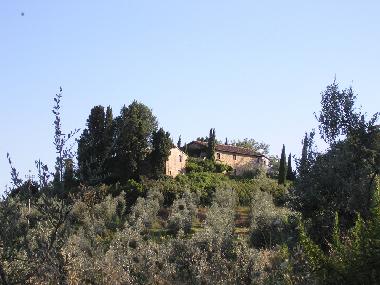 Appartement de vacances /en/au Montaione - Localit San Vivaldo (Firenze)ou appartement ou maison de vacances