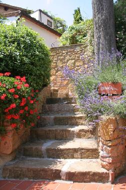 Appartement de vacances /en/au Montaione - Localit San Vivaldo (Firenze)ou appartement ou maison de vacances