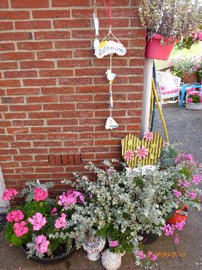 Appartement de vacances �/en/au Egmond aan Zee (Noord-Holland)ou appartement ou maison de vacances