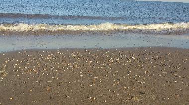 Appartement de vacances �/en/au Egmond aan Zee (Noord-Holland)ou appartement ou maison de vacances