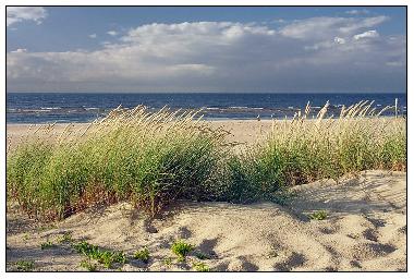 Maison de vacances �/en/au Riga (Lettland)ou appartement ou maison de vacances