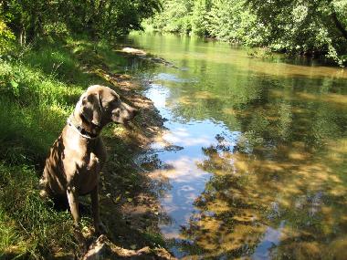 Villa /en/au La Tour sur Orb (Hrault)ou appartement ou maison de vacances