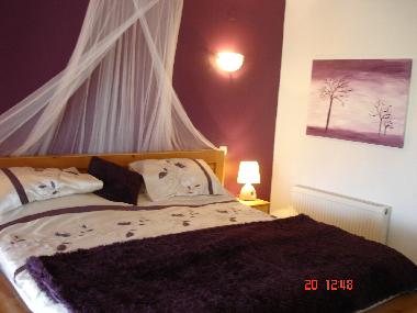 Maison de vacances �/en/au Chernookovo (Dobrich)ou appartement ou maison de vacances