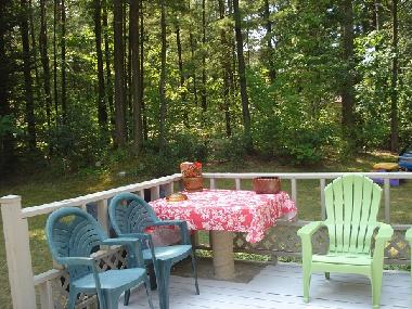 Chalet /en/au tINY (Ontario)ou appartement ou maison de vacances