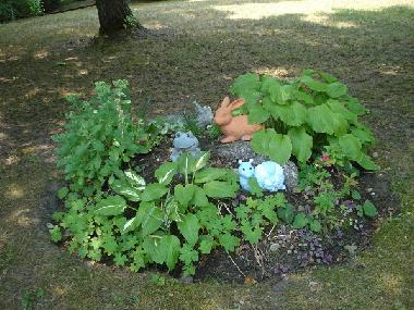 Chalet /en/au tINY (Ontario)ou appartement ou maison de vacances