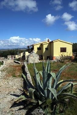 Maison de vacances /en/au Sali (Zadarska)ou appartement ou maison de vacances