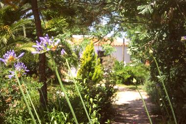 Maison de vacances �/en/au Zambujeira do Mar (Alentejo Litoral)ou appartement ou maison de vacances