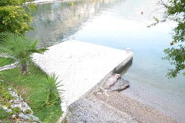 Appartement de vacances �/en/au Donji Morinj E65 Montenegro (Mont�n�gro)ou appartement ou maison de vacances