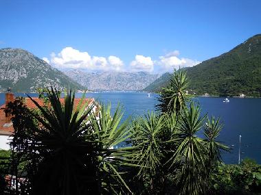 Appartement de vacances �/en/au Donji Morinj E65 Montenegro (Mont�n�gro)ou appartement ou maison de vacances