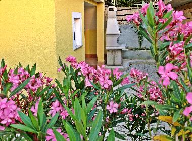 Appartement de vacances /en/au Murter (Sibensko-Kninska)ou appartement ou maison de vacances