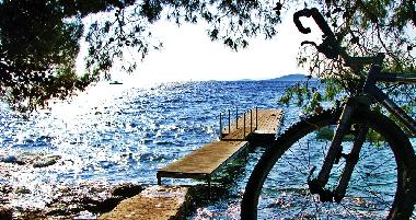 Appartement de vacances /en/au Murter (Sibensko-Kninska)ou appartement ou maison de vacances