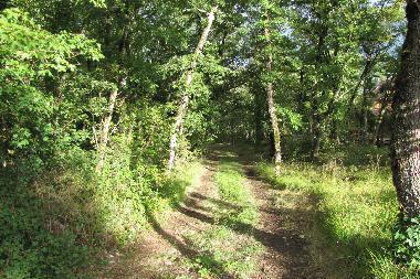 Maison de vacances /en/au lavercantiere (Lot)ou appartement ou maison de vacances