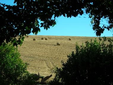 Maison de vacances /en/au Castello di Querceto (Pisa)ou appartement ou maison de vacances