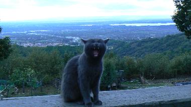 Chambre avec petit djeuner /en/au Candeleda (vila)ou appartement ou maison de vacances