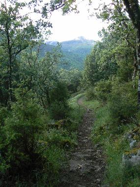 Chambre avec petit djeuner /en/au Candeleda (vila)ou appartement ou maison de vacances