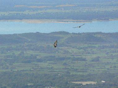 Chambre avec petit djeuner /en/au Candeleda (vila)ou appartement ou maison de vacances