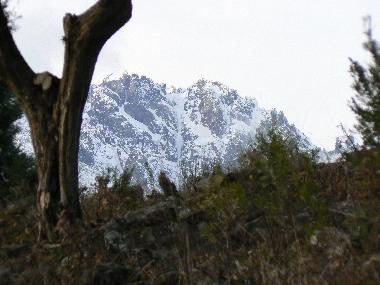 Chambre avec petit djeuner /en/au Candeleda (vila)ou appartement ou maison de vacances