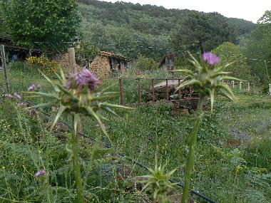 Chambre avec petit djeuner /en/au Candeleda (vila)ou appartement ou maison de vacances