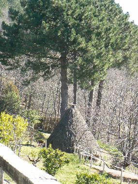 Chambre avec petit djeuner /en/au Candeleda (vila)ou appartement ou maison de vacances