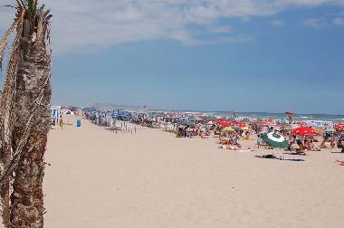 Appartement de vacances /en/au gandia (Valencia / Valncia)ou appartement ou maison de vacances