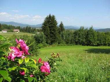 Maison de vacances /en/au Schiefling (Klagenfurt-Villach)ou appartement ou maison de vacances