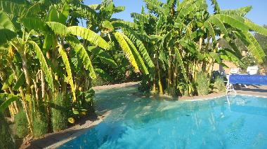 Chambre avec petit d�jeuner �/en/au marrakech (Marrakech)ou appartement ou maison de vacances