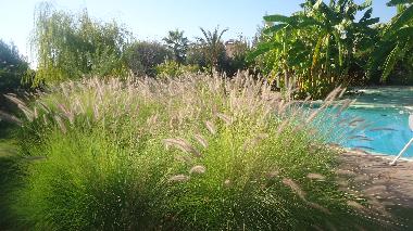 Chambre avec petit d�jeuner �/en/au marrakech (Marrakech)ou appartement ou maison de vacances