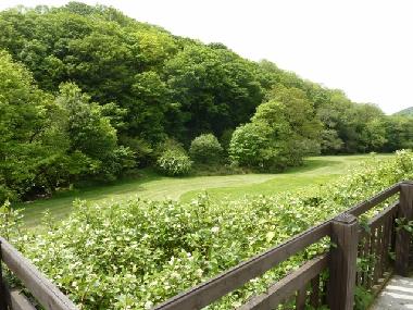 Maison de vacances �/en/au Bude (South West)ou appartement ou maison de vacances