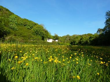 Maison de vacances �/en/au Bude (South West)ou appartement ou maison de vacances