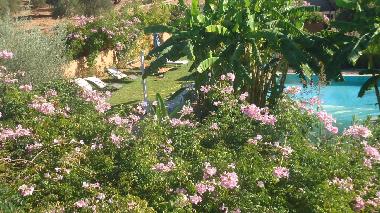 Chambre avec petit d�jeuner �/en/au marrakech (Marrakech)ou appartement ou maison de vacances